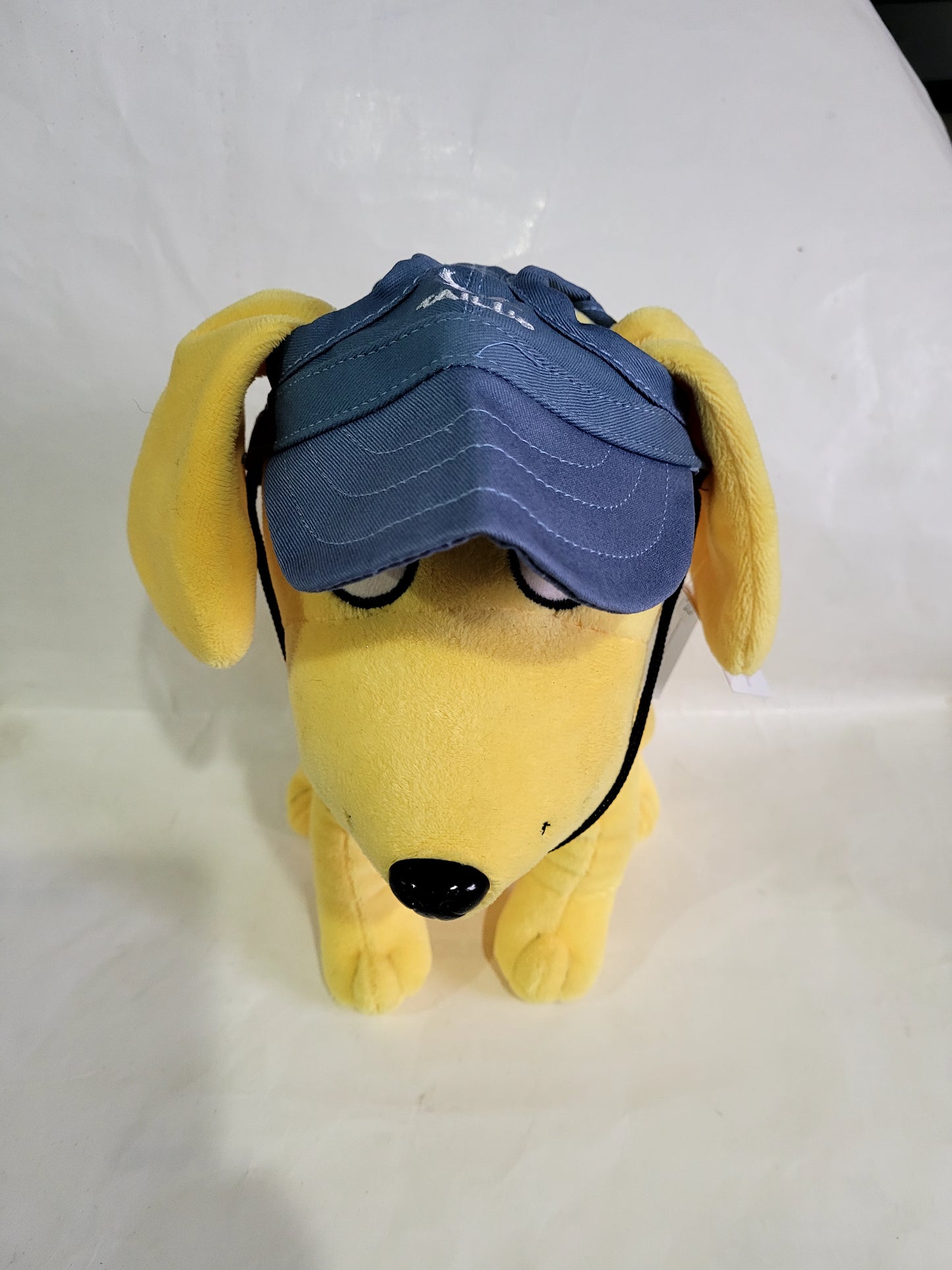 Dog Sun Hats/Sun Protection for Dogs