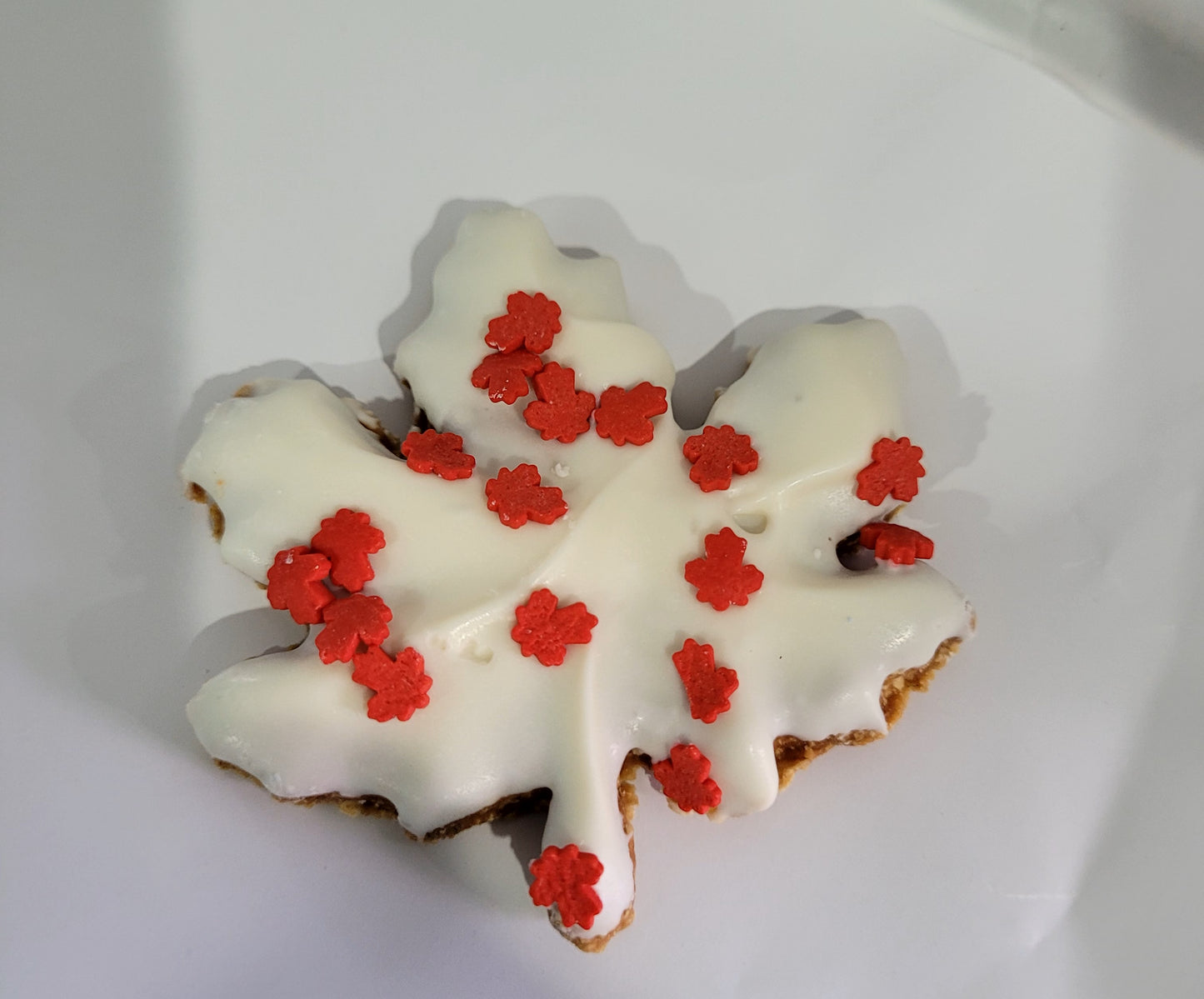 Happy Canada Day! Dog treat