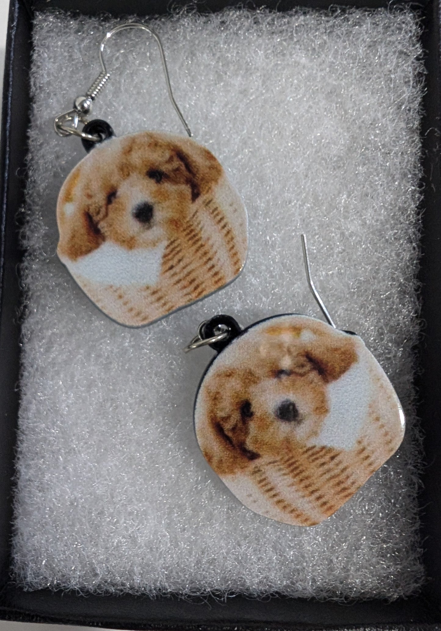 Earrings Dog & Cat Themed