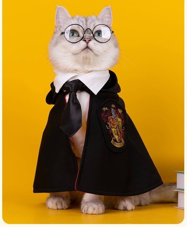 Harry Potter Dog/Cat Costume (3 piece) – Spoil the Dog Bakery