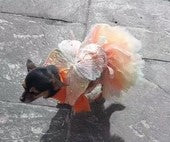 Princess Dress For Dogs