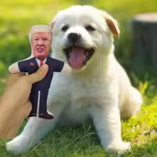 Dog Squeaky Toy Donald Trump