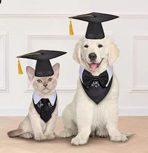 Load image into Gallery viewer, Dog or Cat Graduation Cap
