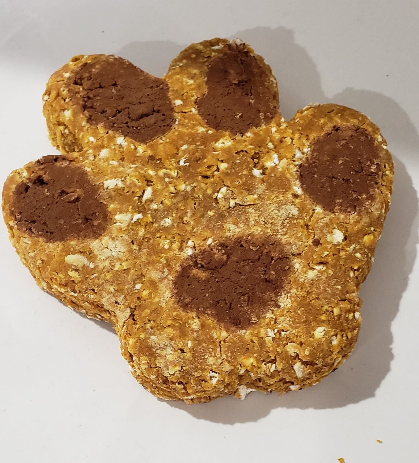 Dog Treat Pumpkin Paw