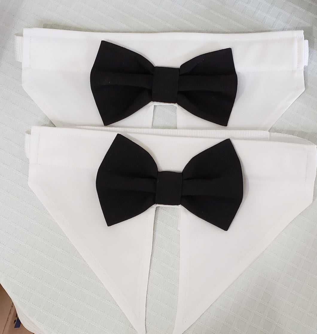 Tuxedo Collar with Black Bow Tie -Front