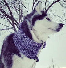 Load image into Gallery viewer, Dogfinity Scarf Dog Head &amp; Neck Wool Warmers
