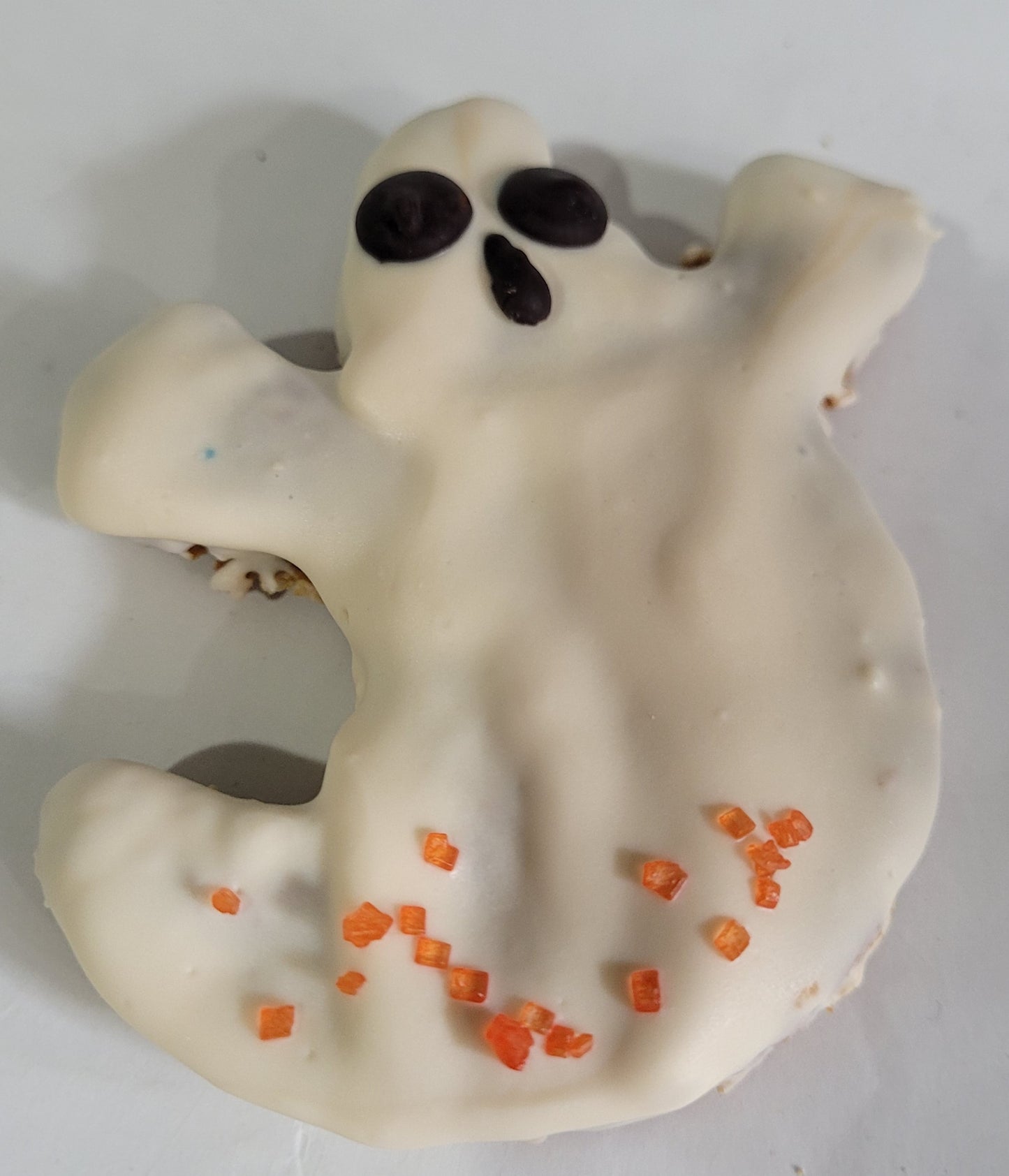 Dog Treat Halloween Fall Ghost