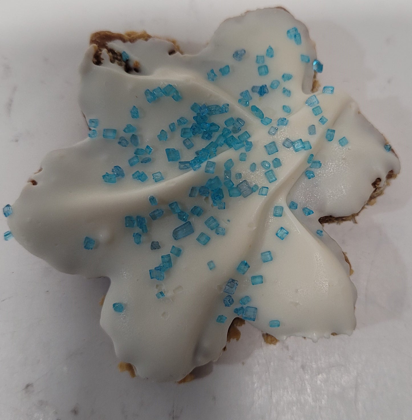 Christmas  Snowflake Apple Coconut Dog Treat